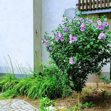 Room In City Center Halle With Shared Bathroom & Kitchen - Free Wifi, Netflix, Ipad & Ground Floor 外观 照片